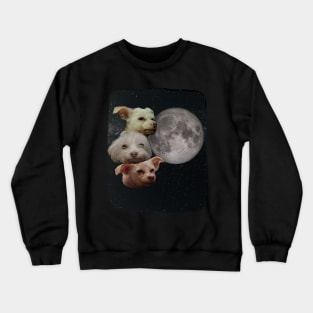 my sisters dog penny Crewneck Sweatshirt